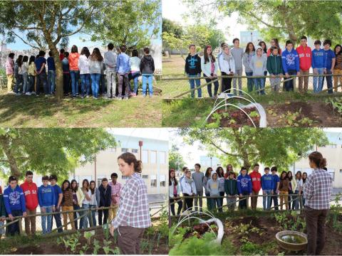 Uma aula na horta. A turma do 7ºF quis saber o que é a agricultura biológica e o porquê de uma horta no espaço escolar. Falou-se da alimentação saudável.